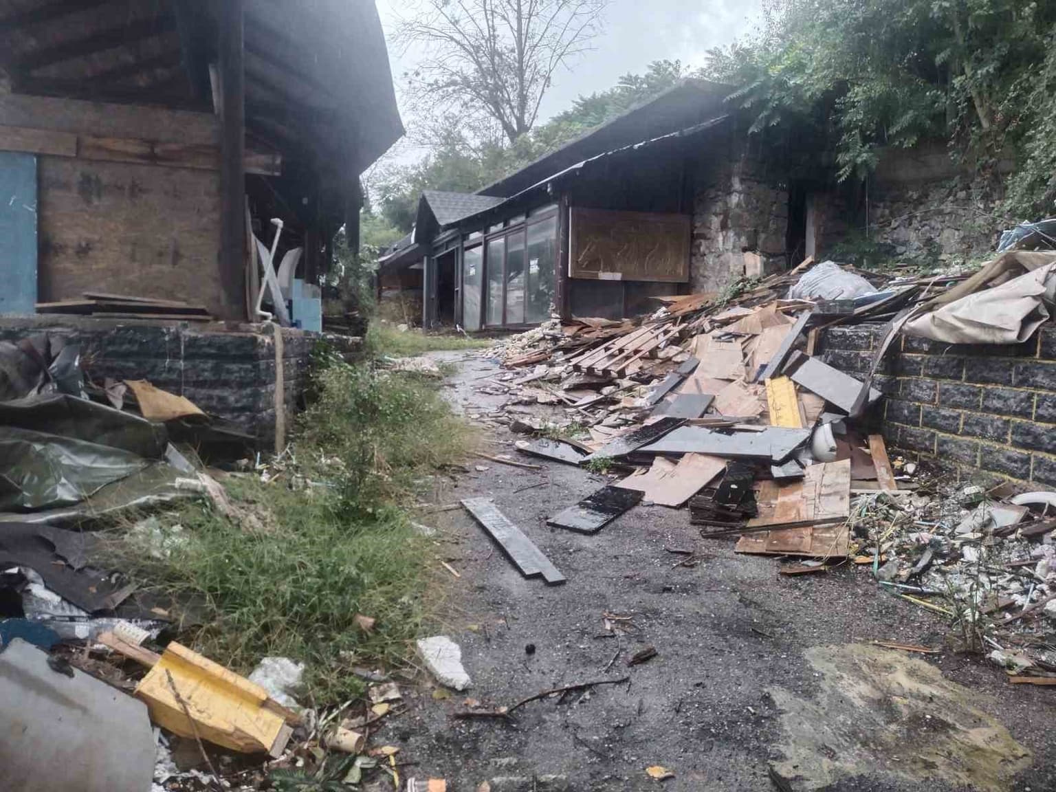 IMG_2635.jpeg